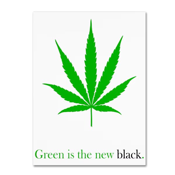 Potman 'The New Black' Canvas Art, 18x24, Trademark Fine Art, Mfr#: ALI0633-C1824GG